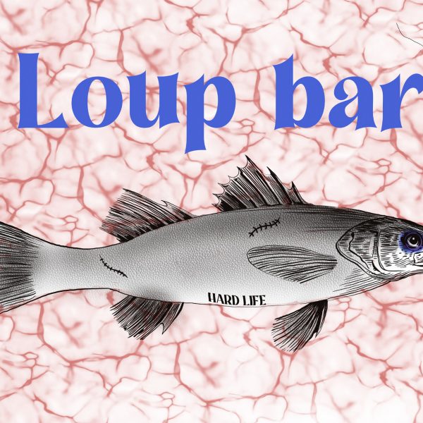 Loup bar
